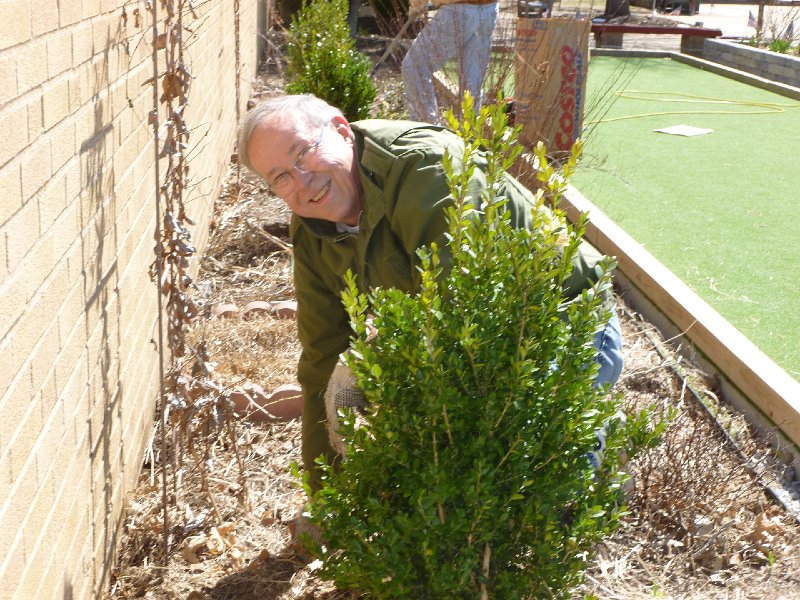 VA Garden March 2104 013